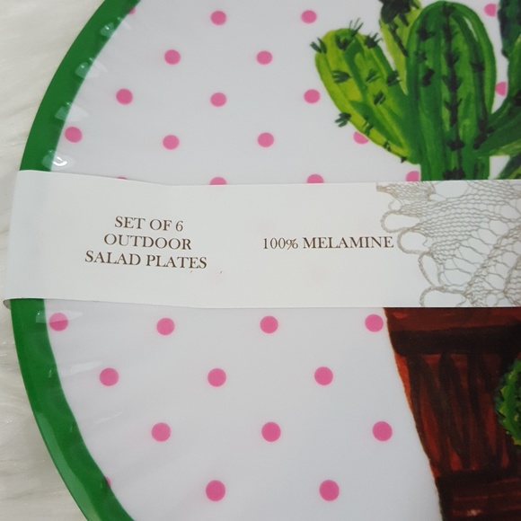 Alex & Zoe Cactus Melamine Salad Plates Set of 6 - Picture 3 of 4